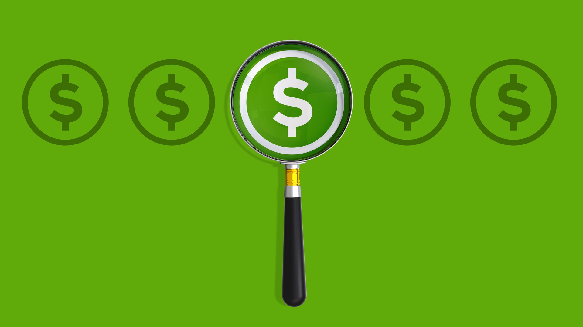 Financial Search Investment Opportunity